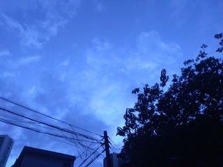 4308062