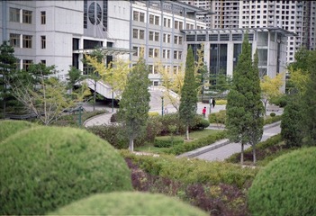 011.jpg