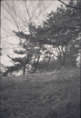 003.jpg