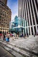 IMG_1230.jpg