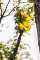 _DSC0245-编辑-编辑.jpg