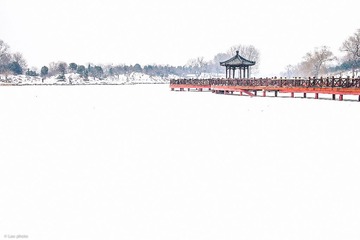 IMG_1034-编辑.jpg