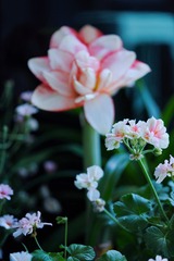 AB4D04AF-9FE2-4FCF-90AE-D9CE1B3F452F/L0/001