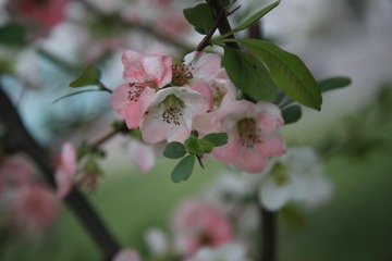 D8967704-B713-4433-80CF-E5F8B874ED19/L0/001