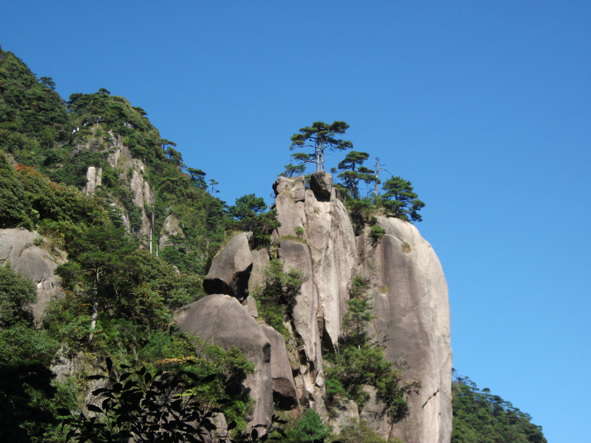 挺拔的不只是山體 還有松柏