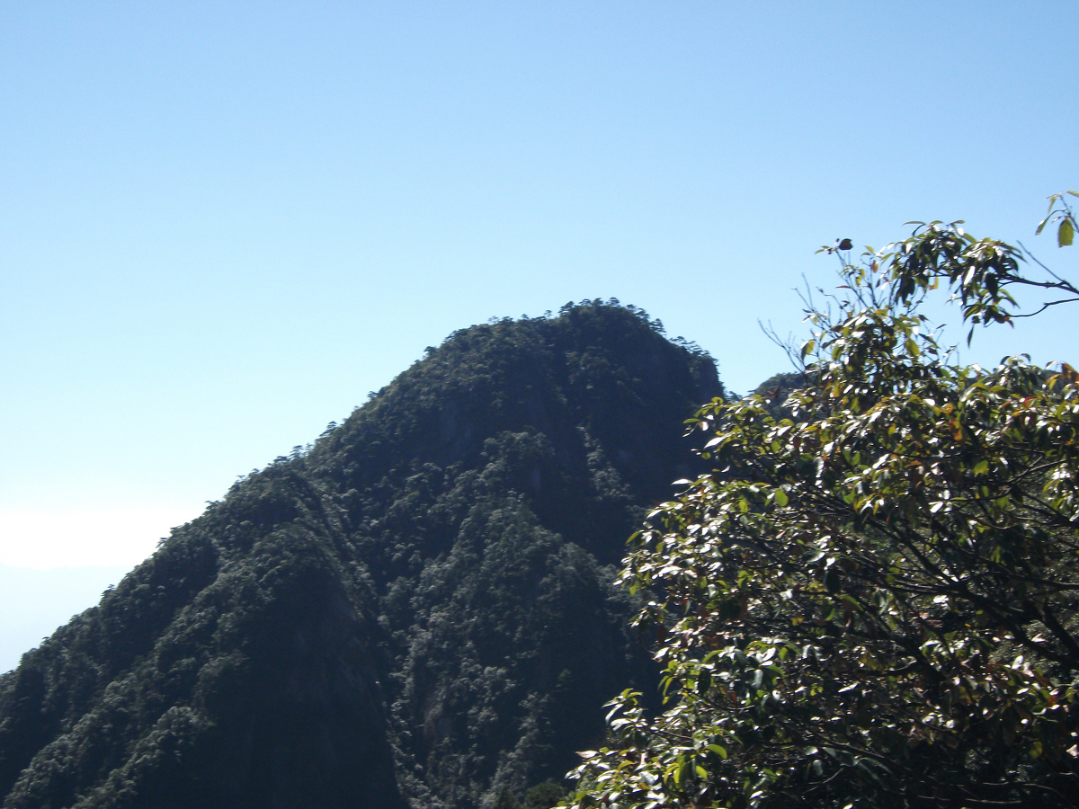 遠處的饅頭山