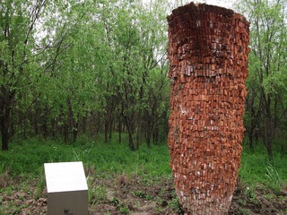 DSCF1071.JPG