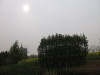 DSCF1087.JPG