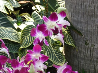 DSCF1291.jpg