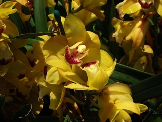 DSCF1292.jpg