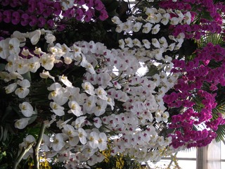 DSCF1293.jpg