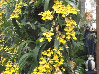 DSCF1294.jpg