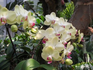 DSCF1299.jpg