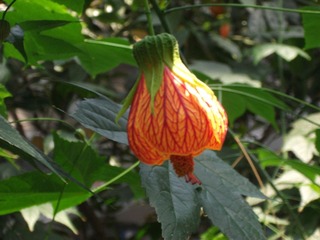 DSCF1308.jpg