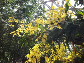 DSCF1309.jpg