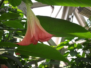 DSCF1315.jpg