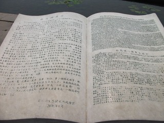 DSCF1326.jpg