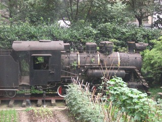 DSCF1428.jpg