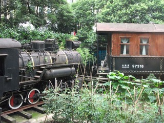 DSCF1446.jpg