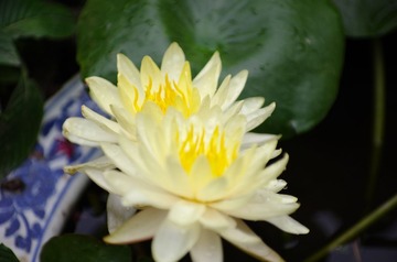 IMGP0132.jpg