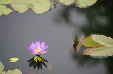 IMGP0188.jpg