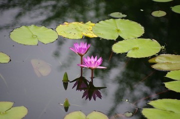 IMGP0191.jpg