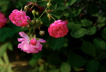 6A88C5EF-8ED6-42C7-90D9-31AE72469EE8/L0/001