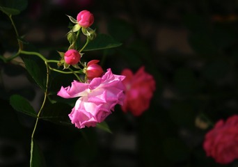 1265B579-100E-4908-8997-B57C7ED3EB36/L0/001