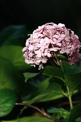 0A3E0D87-792E-4292-AF64-4846E9B5FD93/L0/001