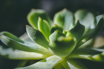 A062533D-A683-4672-BD8B-FB2696434BD3/L0/001