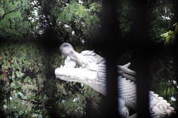 1BA25A84-14A1-4D92-B2E3-C689CCFF77C8/L0/001