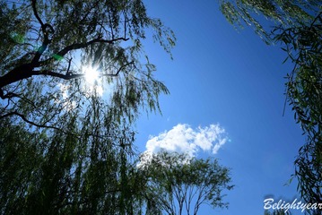DSC_0379-1-4