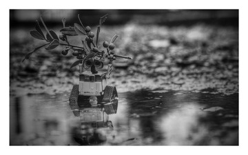 IMG_0215-EFFECTS