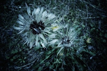 _0010203.JPG
