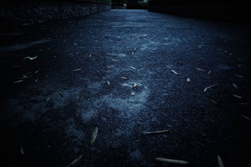 _0010205.JPG