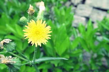 _0010274.JPG