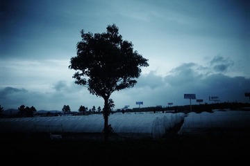 _0010289.JPG