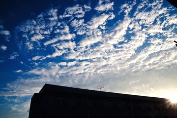 DSC_8464.jpg