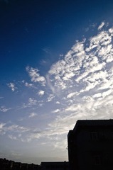 DSC_8466.jpg