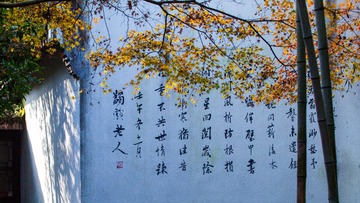 西湖_11