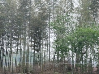 1000027096