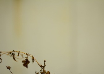 IMG_5619_1.JPG