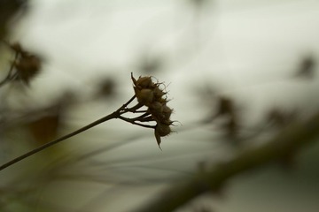 IMG_5585_1.JPG