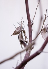 IMG_5622_1.JPG