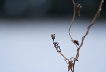 IMG_5606_1.JPG