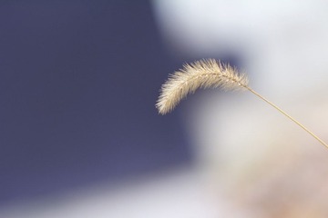 IMG_5491_1.JPG
