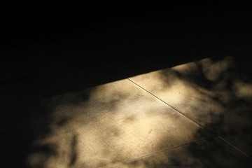 IMG_5340.JPG