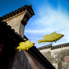 DSCF1818-1