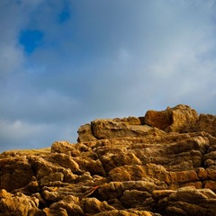 DSCF1873-1