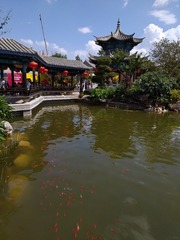 1136616